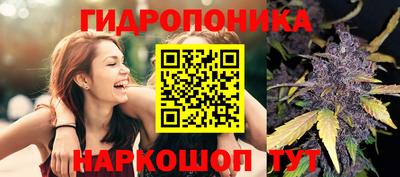 ПСИЛОЦИБИНОВЫЕ ГРИБЫ Анапа