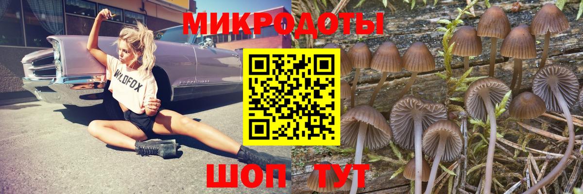 Псилоцибиновые грибы Psilocybe  Вход с VPN  Галлюциногенные грибы Psilocybine cubensis  Братск 